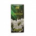 Jasmine - Attar Perfume  (8 ml) Jasmine - Attar Perfume  (8 ml)